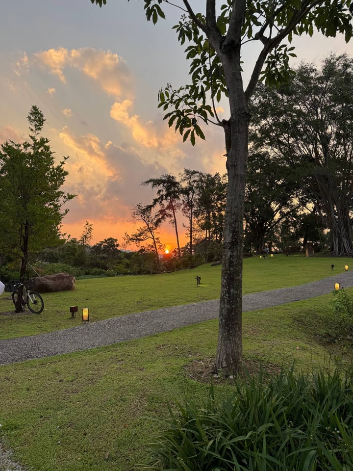 Where the Path Meets the Sunset